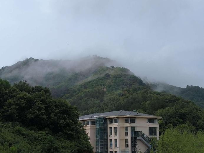 图片 1.jpg 图片 1.jpg