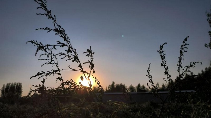 图片 6.jpg 图片 6.jpg