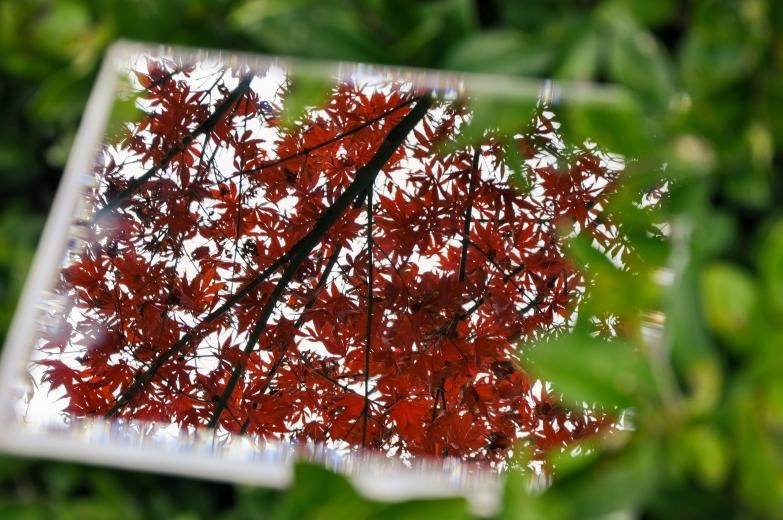 图片 8.jpg 图片 8.jpg