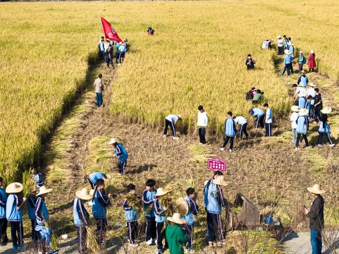 图片 17.jpg 图片 17.jpg