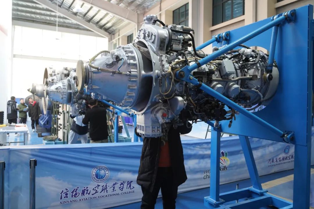 图片15.jpg