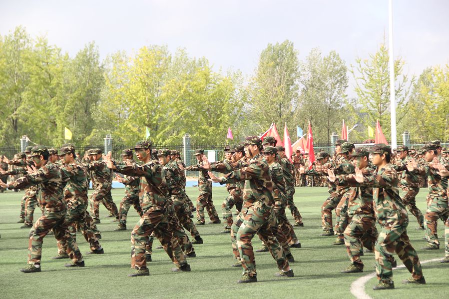 图片19_副本.jpg