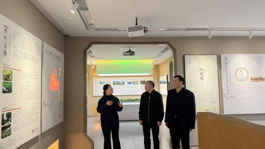 图片33.jpg 图片33.jpg